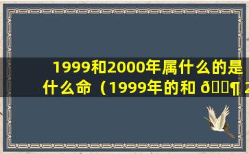 1999和2000年属什么的是什么命（1999年的和 🐶 2000年的结婚相克吗）